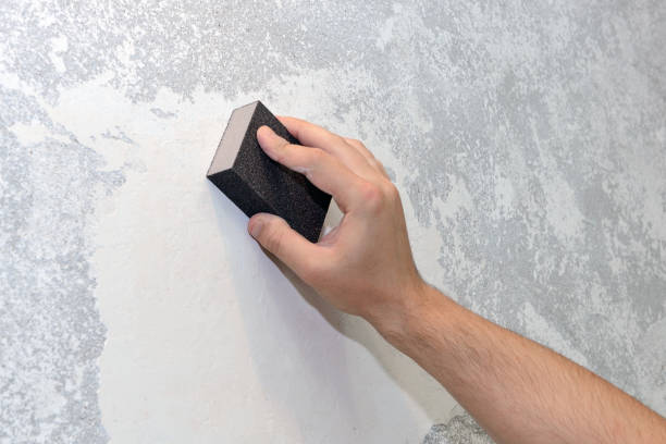 Mold Odor Removal Services in West Sayville, NY