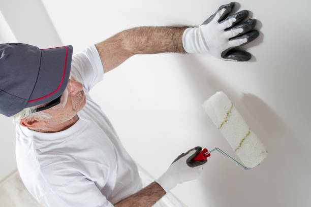 Best Emergency Mold Remediation  in West Sayville, NY