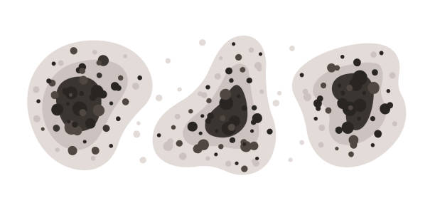 Best Air Quality Testing for Mold Spores  in West Sayville, NY