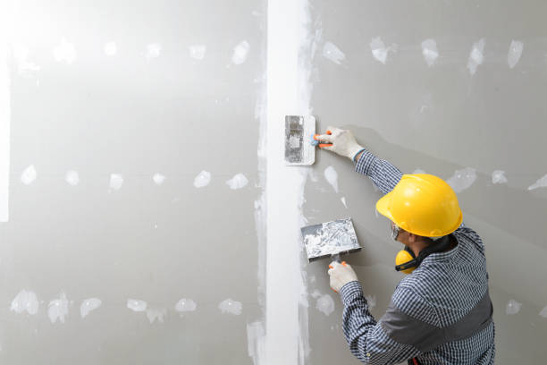 Best Mold Remediation for Healthcare Facilities  in West Sayville, NY