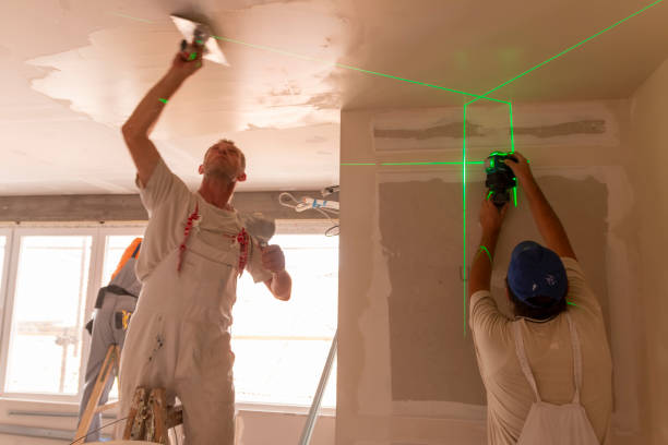 Best Post-Construction Mold Inspection  in West Sayville, NY