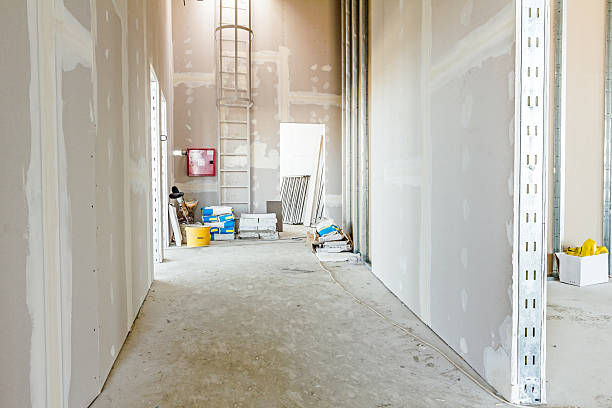 Best Biohazard Mold Removal  in West Sayville, NY