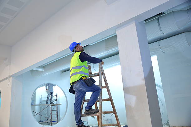 Best Comprehensive Air Testing for Mold Contaminants  in West Sayville, NY